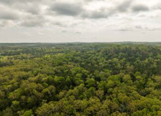 1141 Little Woods Road, Elizabeth, Arkansas
