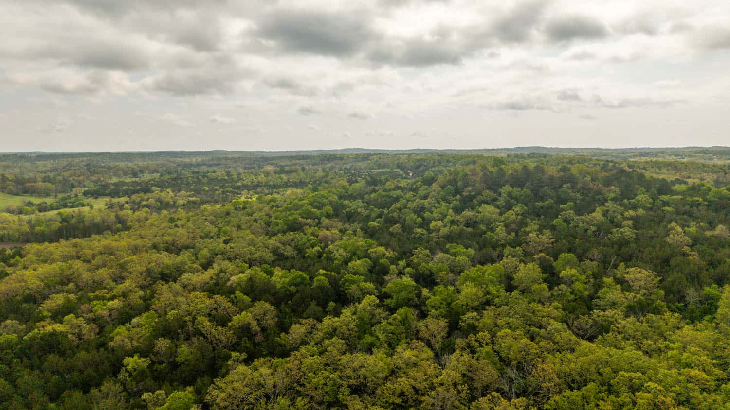1141 Little Woods Road, Elizabeth, Arkansas