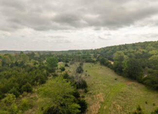 1141 Little Woods Road, Elizabeth, Arkansas