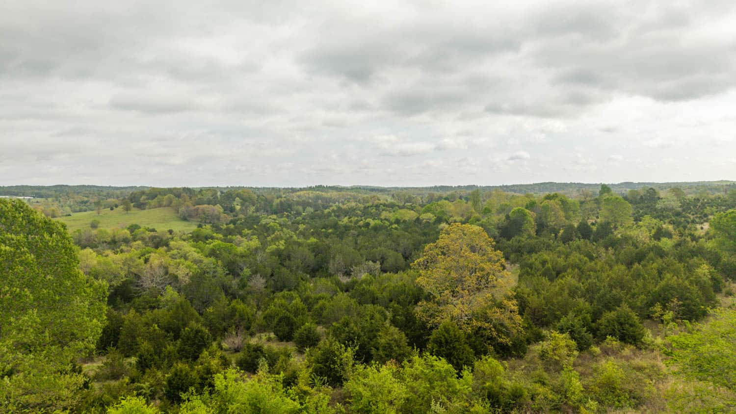 1141 Little Woods Road, Elizabeth, Arkansas