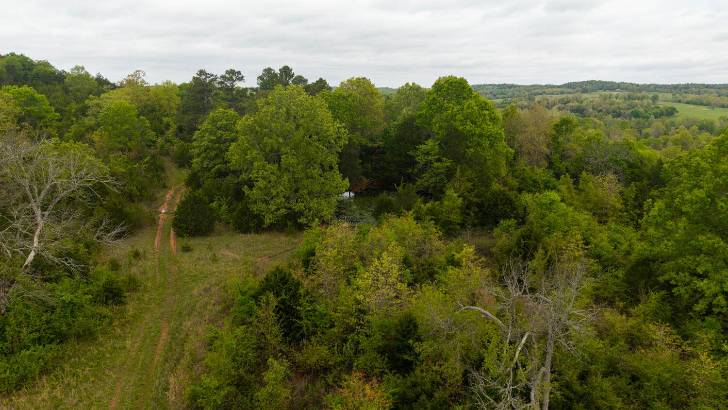 1141 Little Woods Road, Elizabeth, Arkansas
