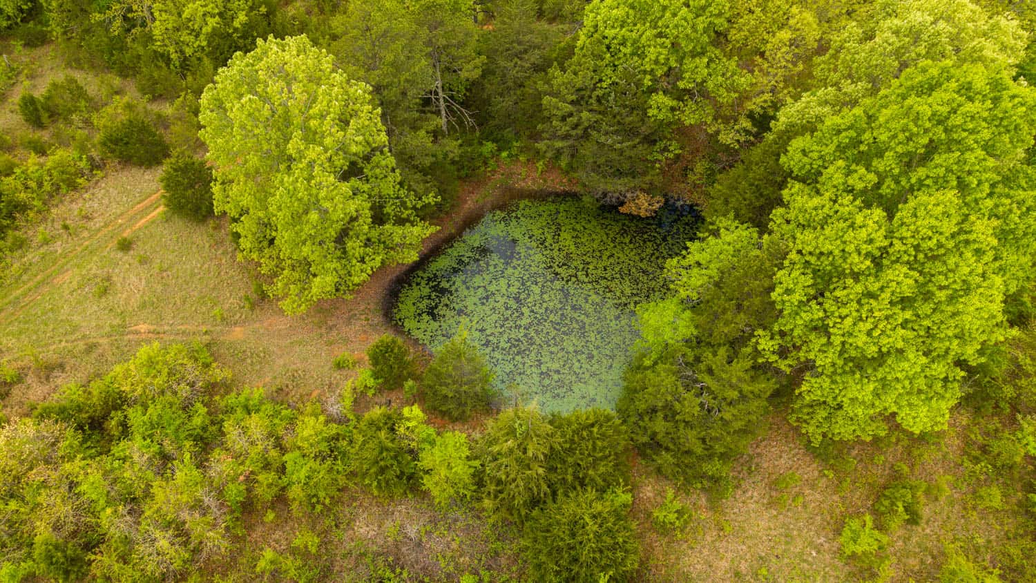 1141 Little Woods Road, Elizabeth, Arkansas