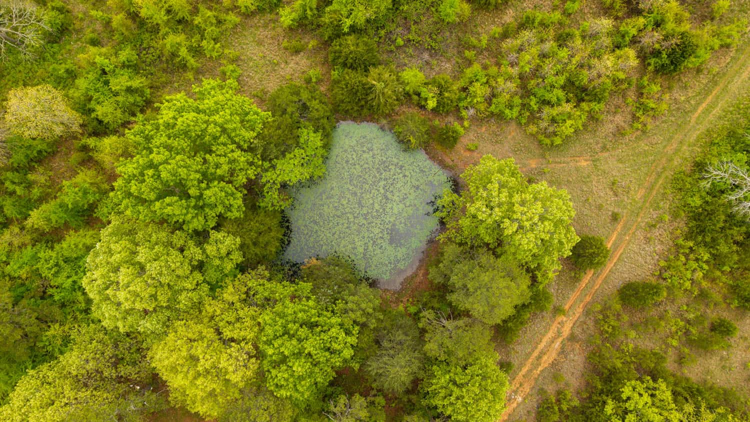 1141 Little Woods Road, Elizabeth, Arkansas