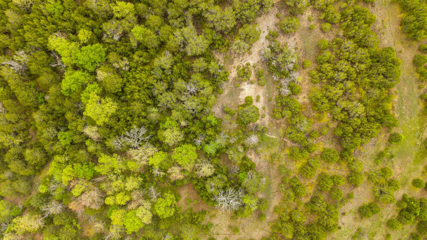 1141 Little Woods Road, Elizabeth, Arkansas