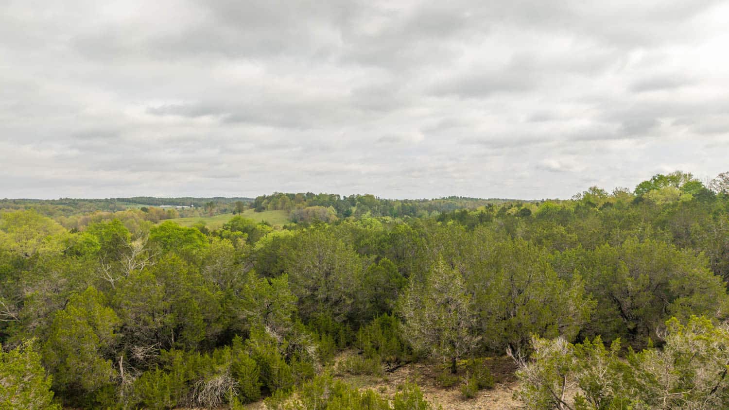 1141 Little Woods Road, Elizabeth, Arkansas