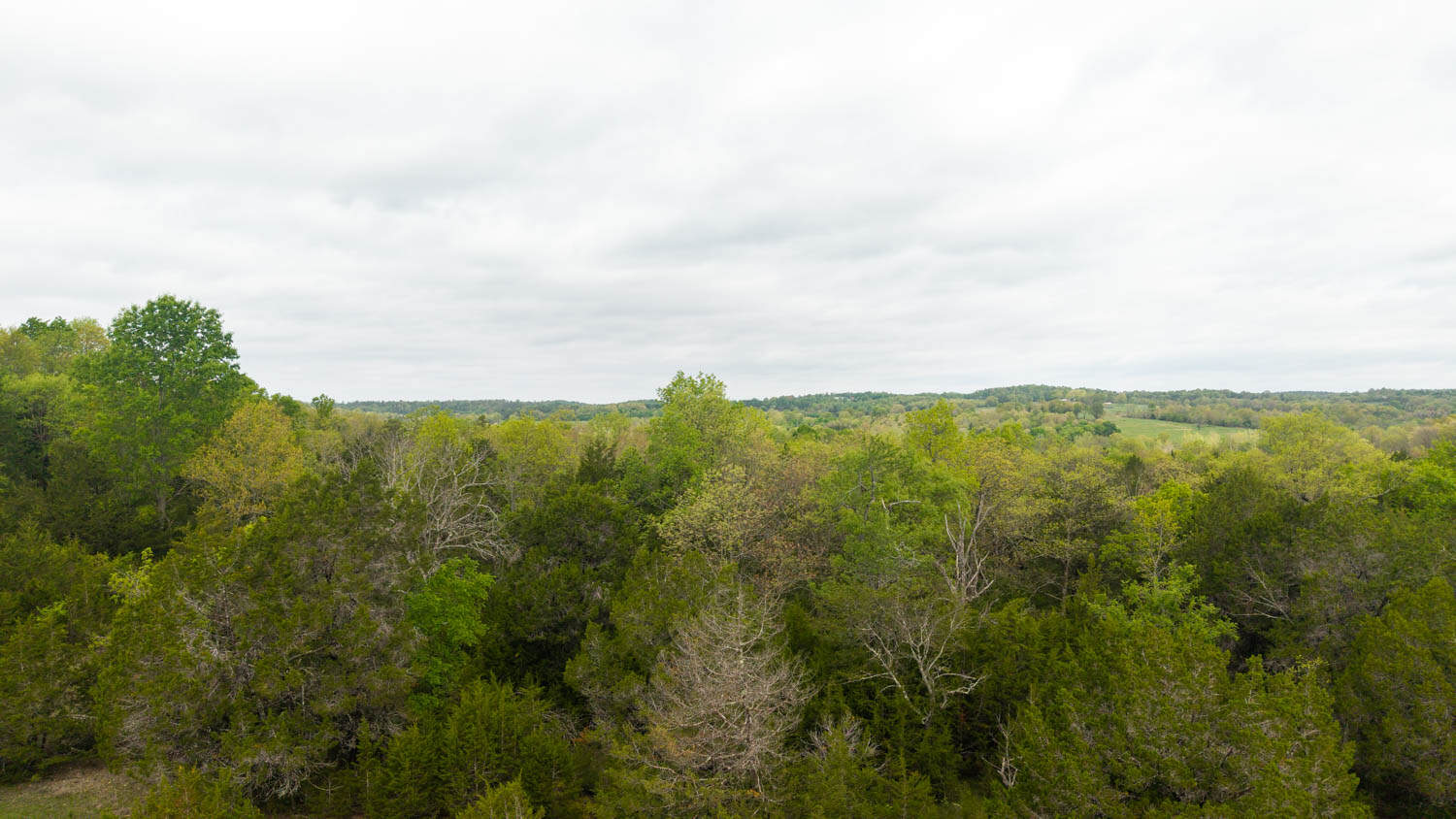 1141 Little Woods Road, Elizabeth, Arkansas