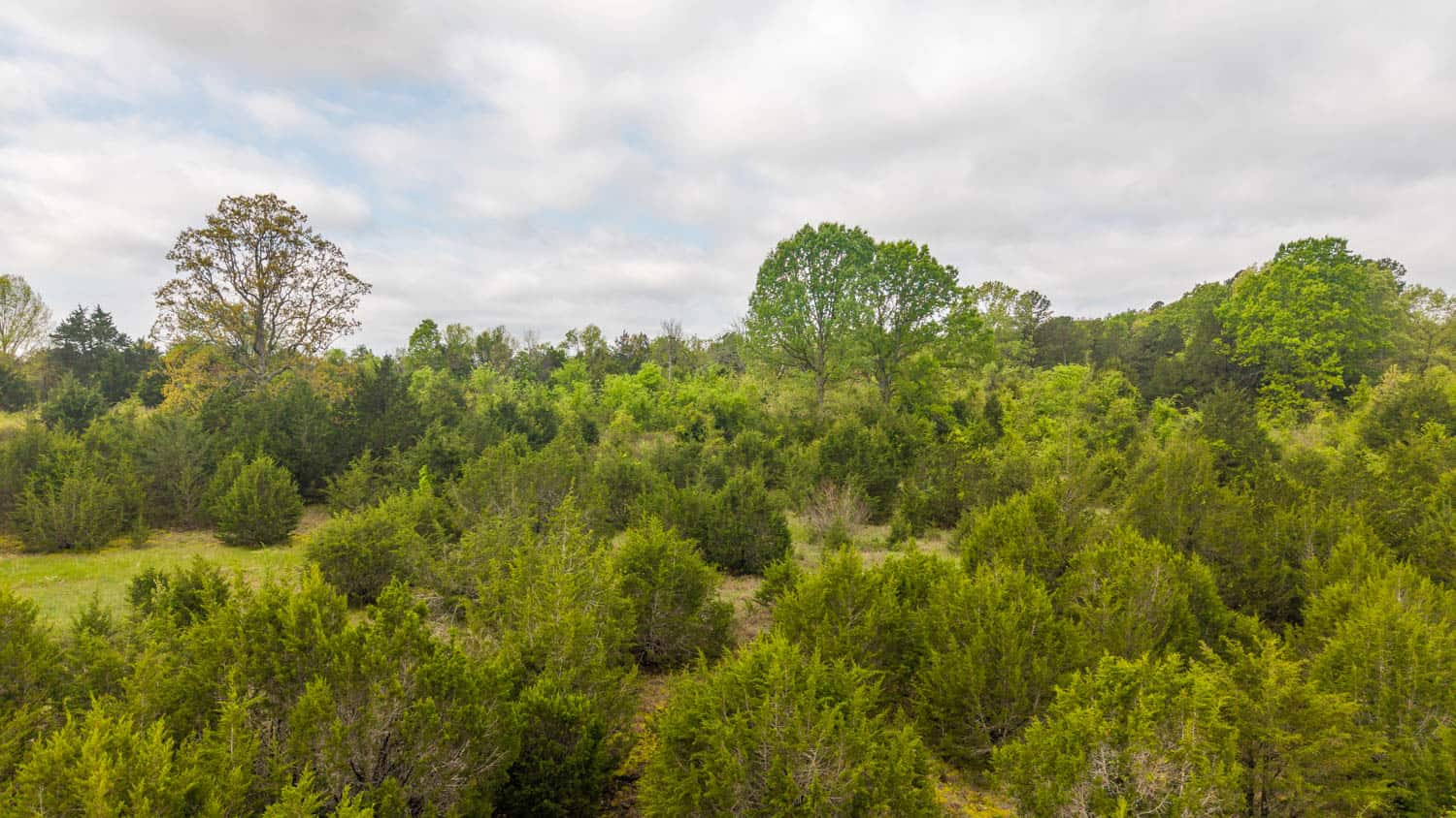 1141 Little Woods Road, Elizabeth, Arkansas