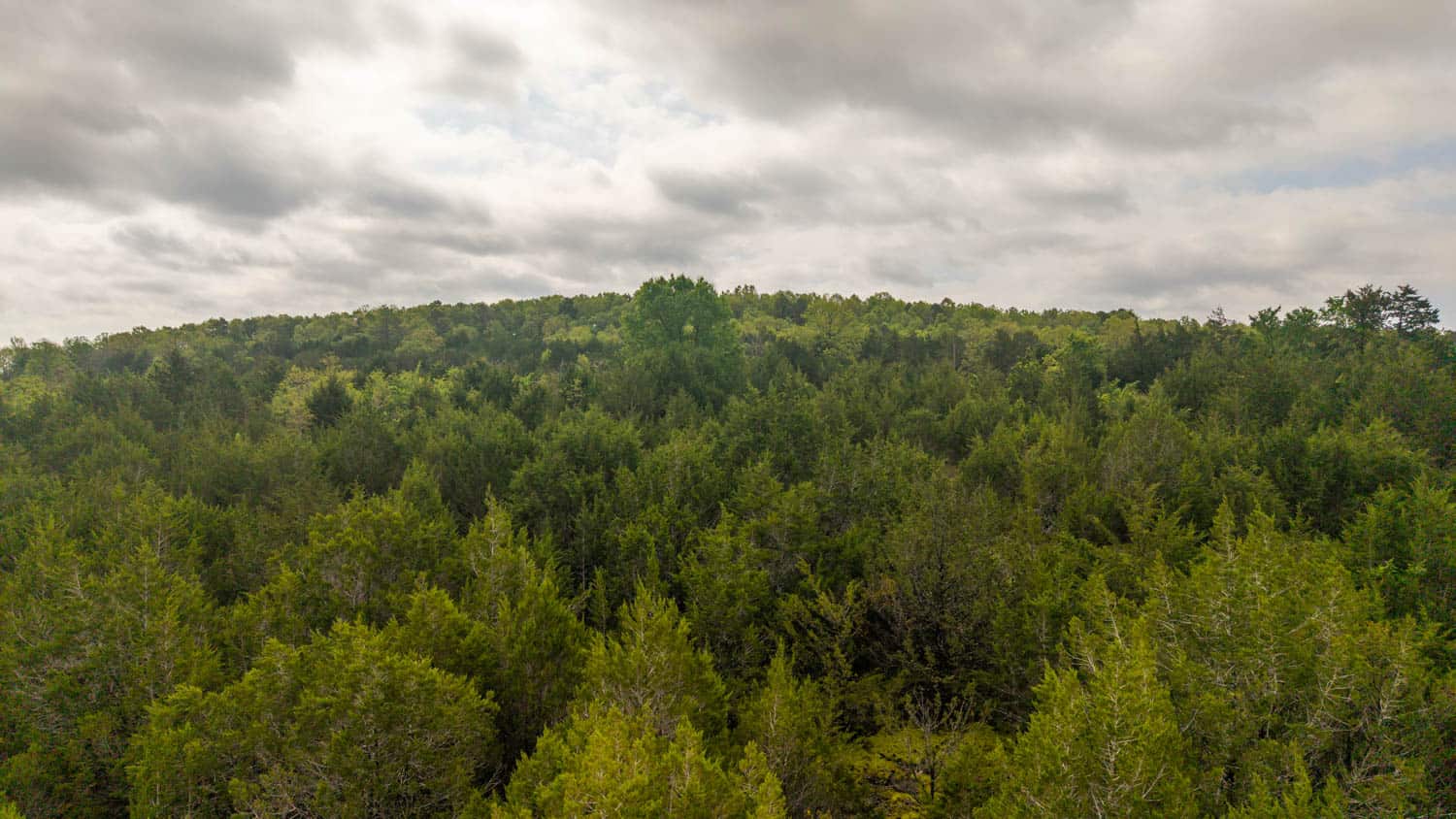 1141 Little Woods Road, Elizabeth, Arkansas