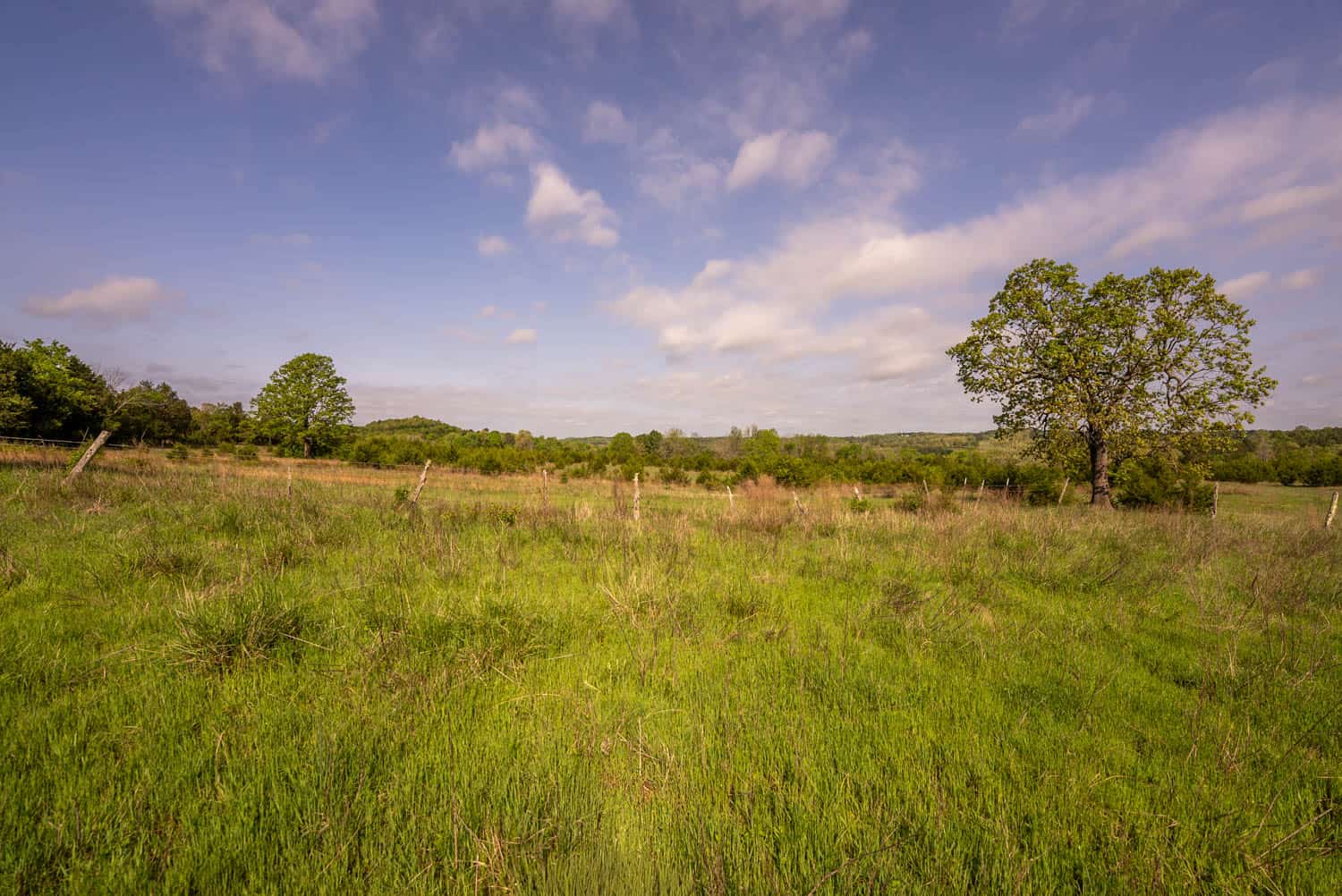 1141 Little Woods Road, Elizabeth, Arkansas