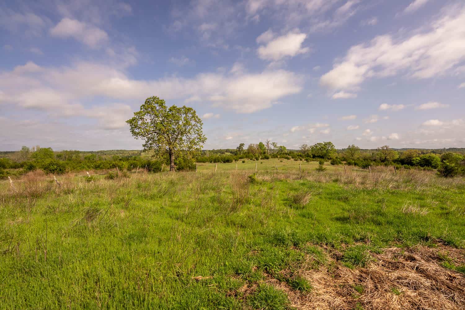 1141 Little Woods Road, Elizabeth, Arkansas