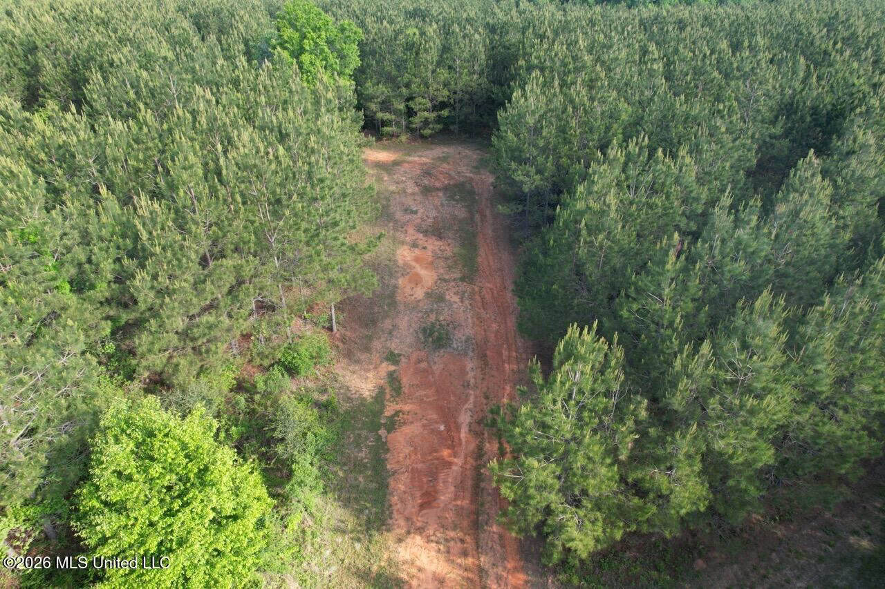 46 Acres in St. Helena Parish, LA Hunting Property for Sale