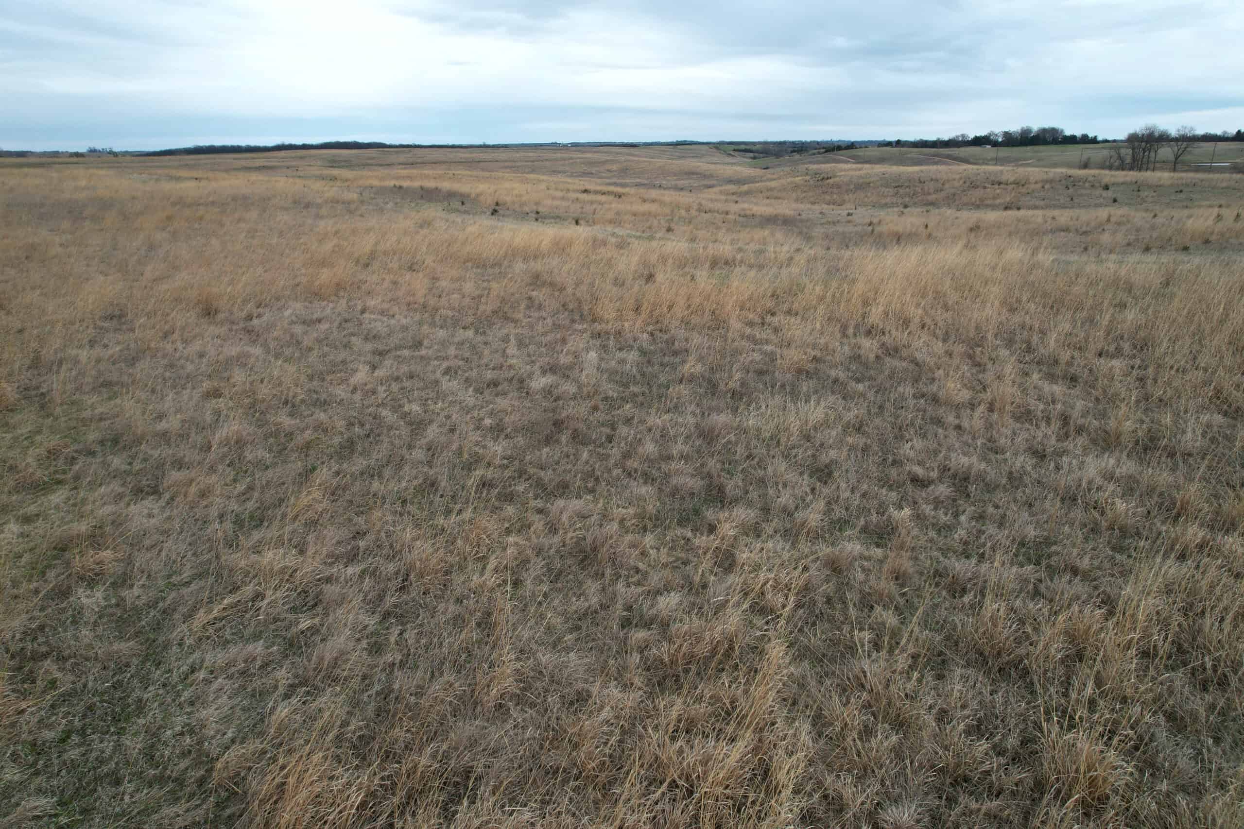 Southwest Iowa Recreational CRP Farm