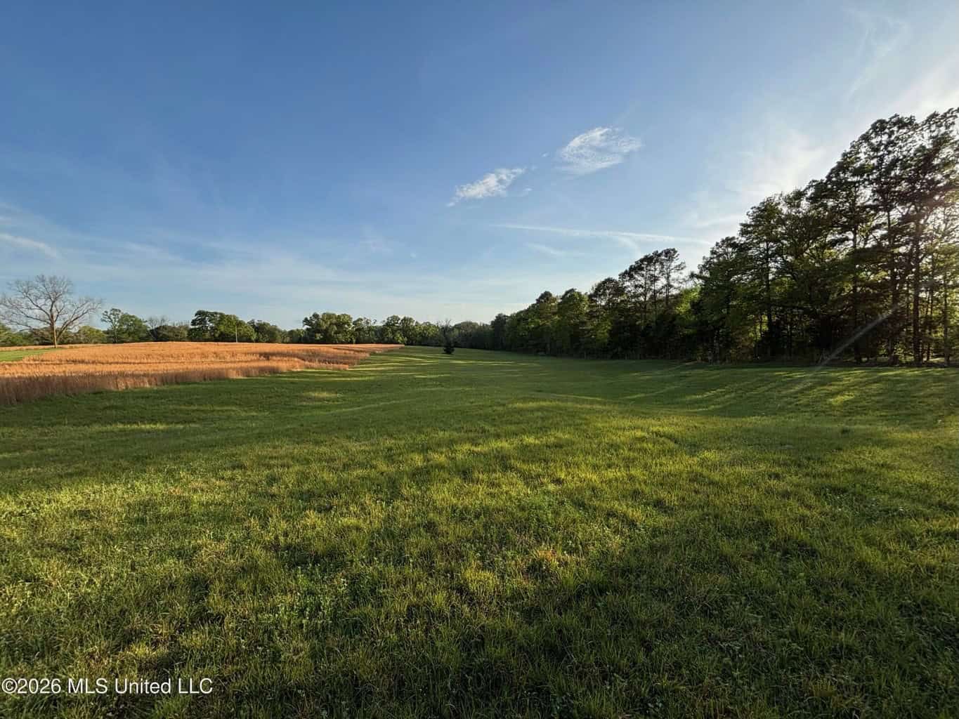 77 Acres in Edwards, MS Hinds County Big Black River Region