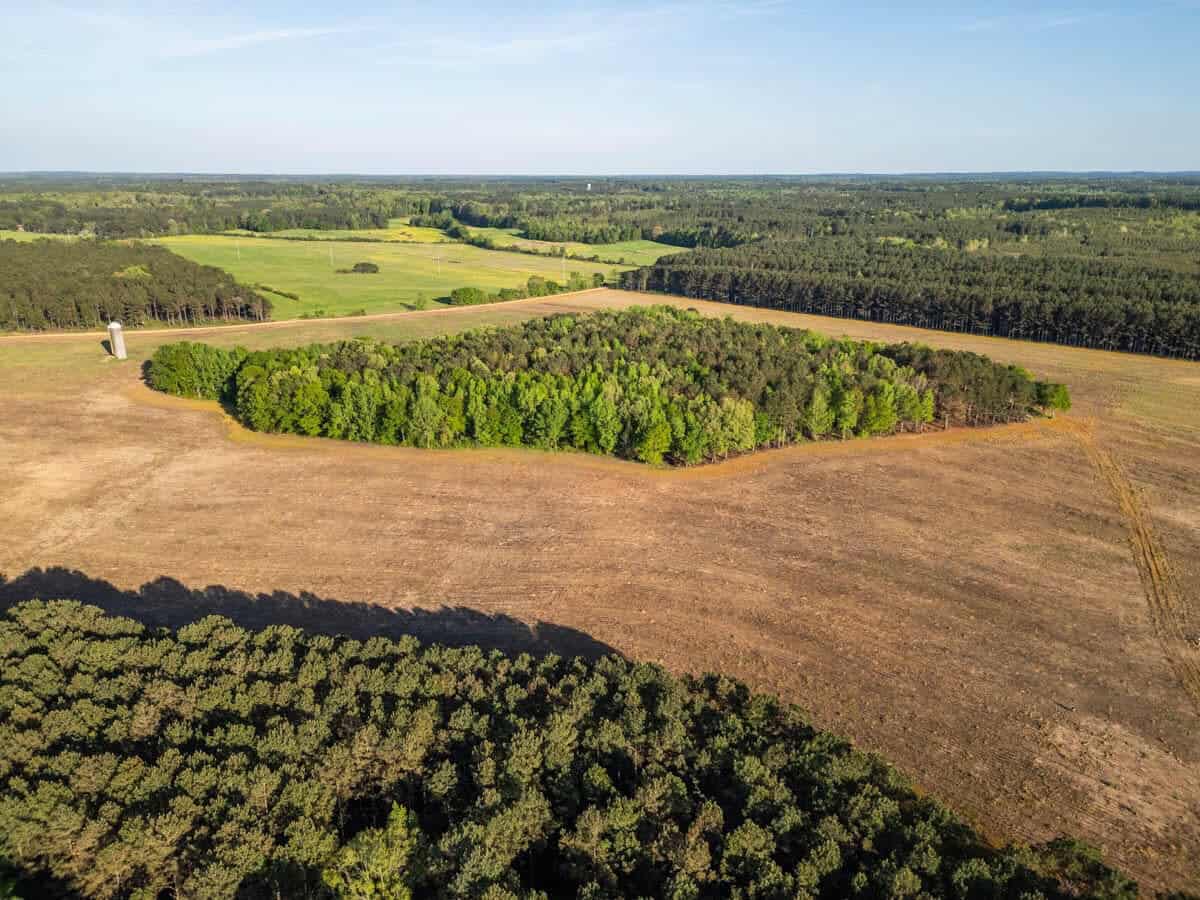 455 Acres Hunting & Income Land in Choctaw County MS