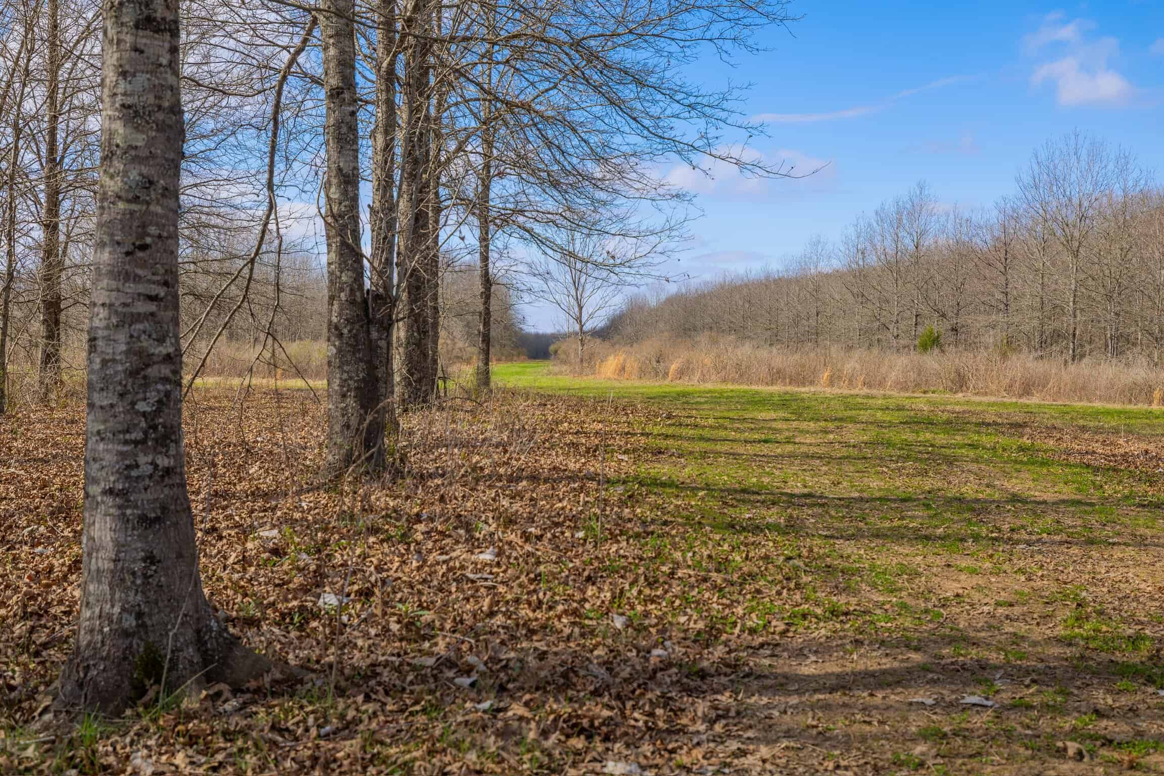 Tensas Parish Duck and Deer Hunting Property