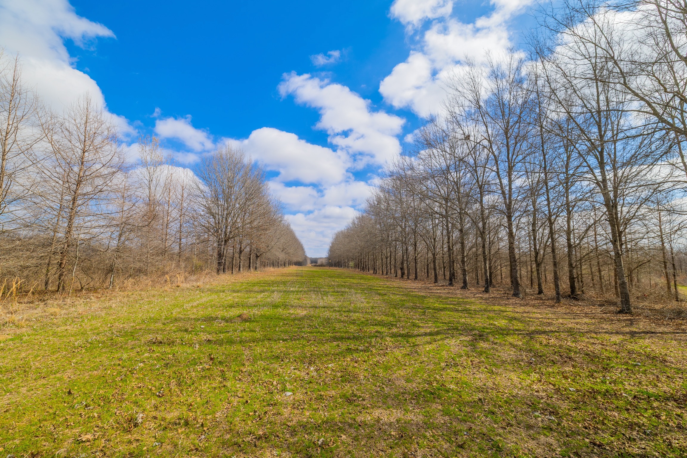330+/- Acre Deer and Duck Hunting Property with a Camp