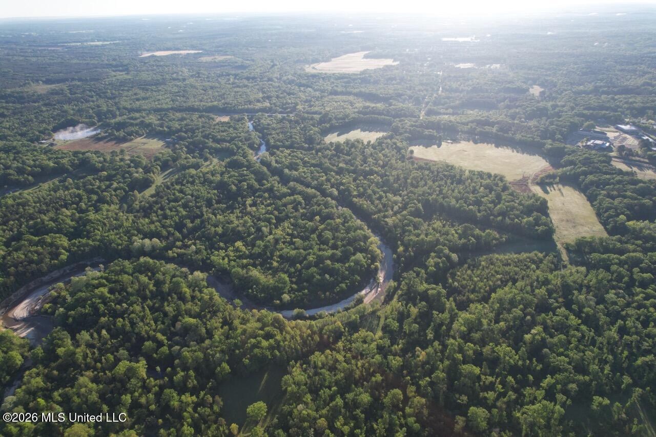 266± Acres Hinds/Copiah Line with Creek and Income