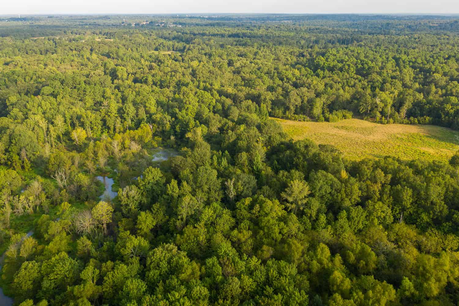 863-Acre Hunting Ranch on the Sabine River near Big Sandy TX