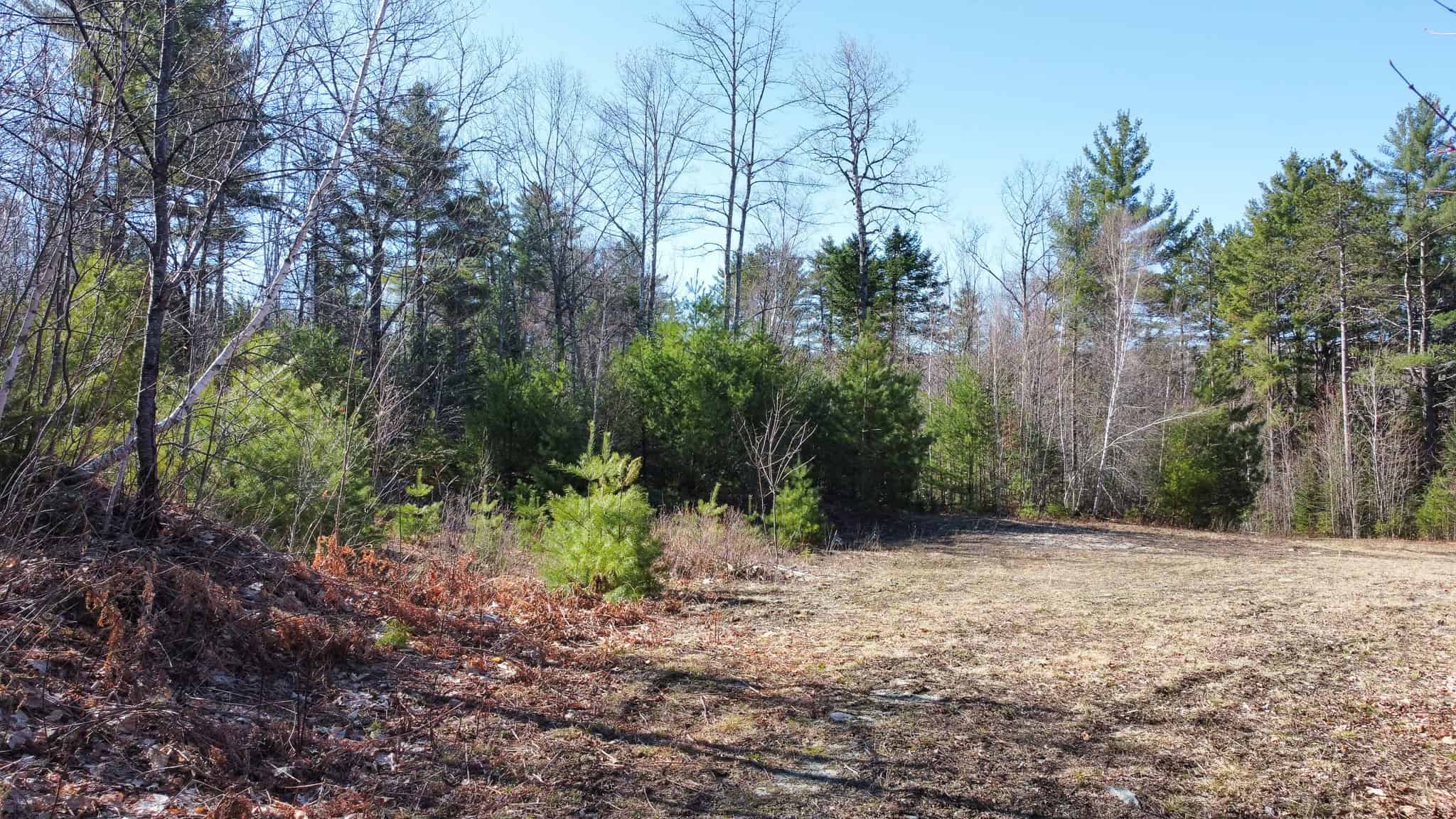 Western Maine Land for Sale – Near Sugarloaf & Outdoor Recreation