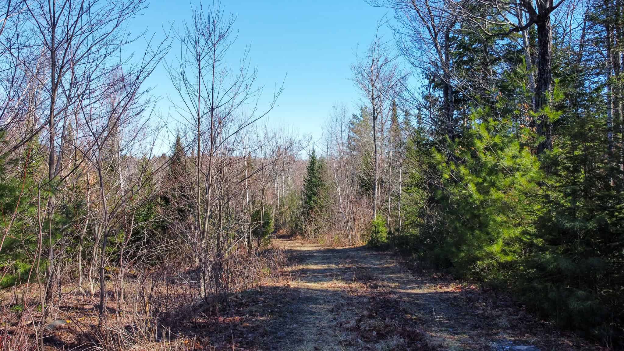 Western Maine Land for Sale – Near Sugarloaf & Outdoor Recreation