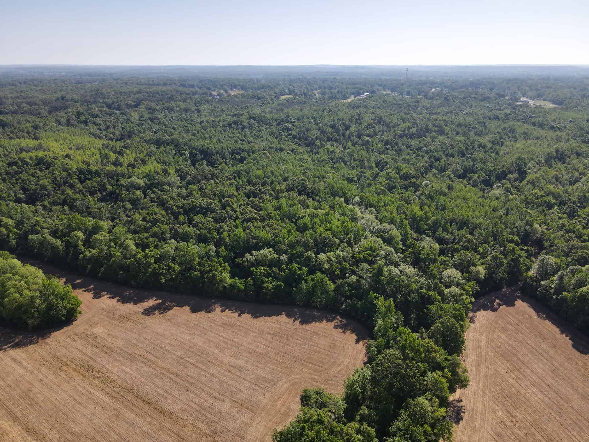 RIVERFRONT LEGACY FARM | 700 ACRES ± | LAND FOR SALE IN TN