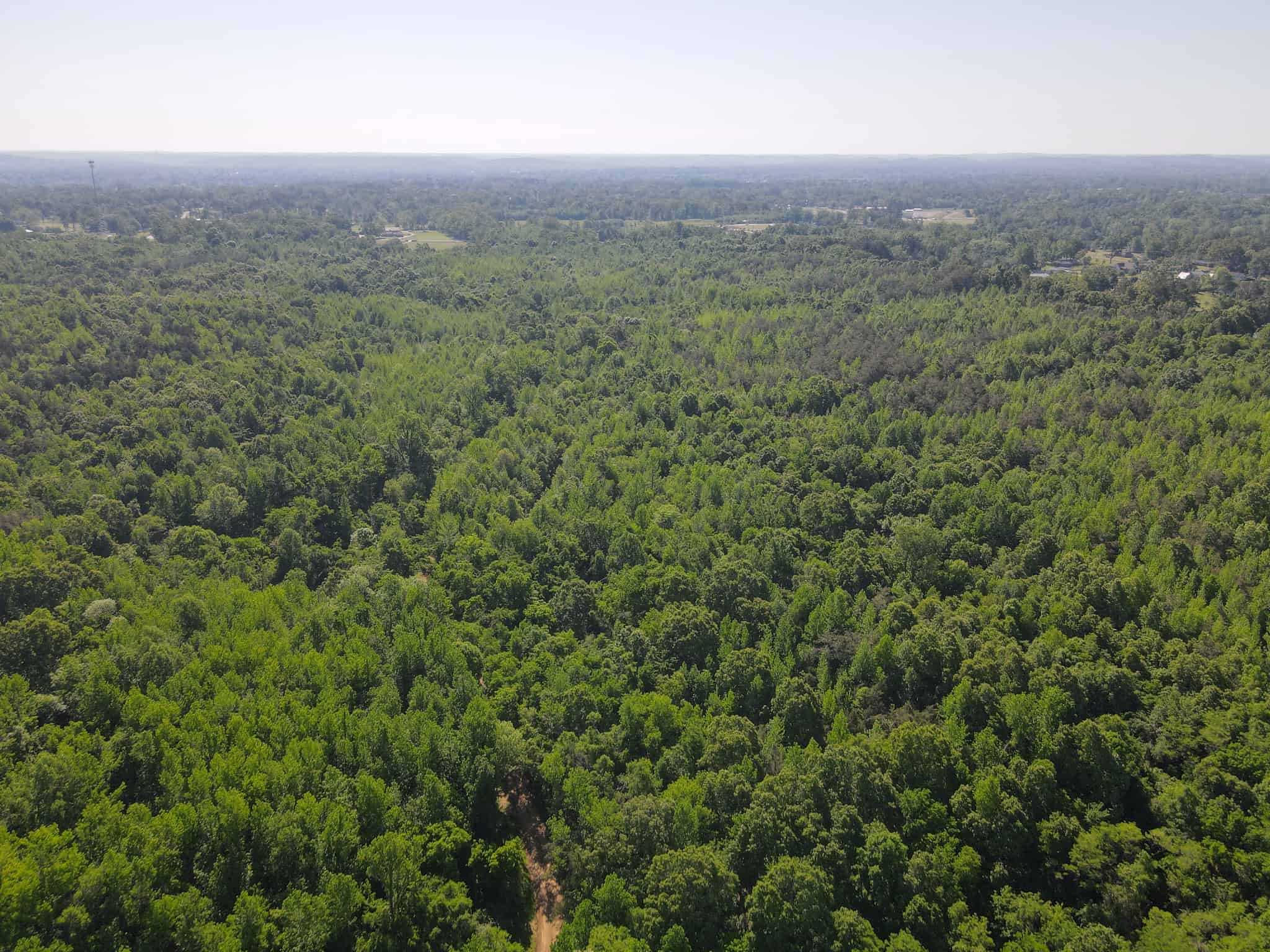 RIVERFRONT LEGACY FARM | 700 ACRES ± | LAND FOR SALE IN TN