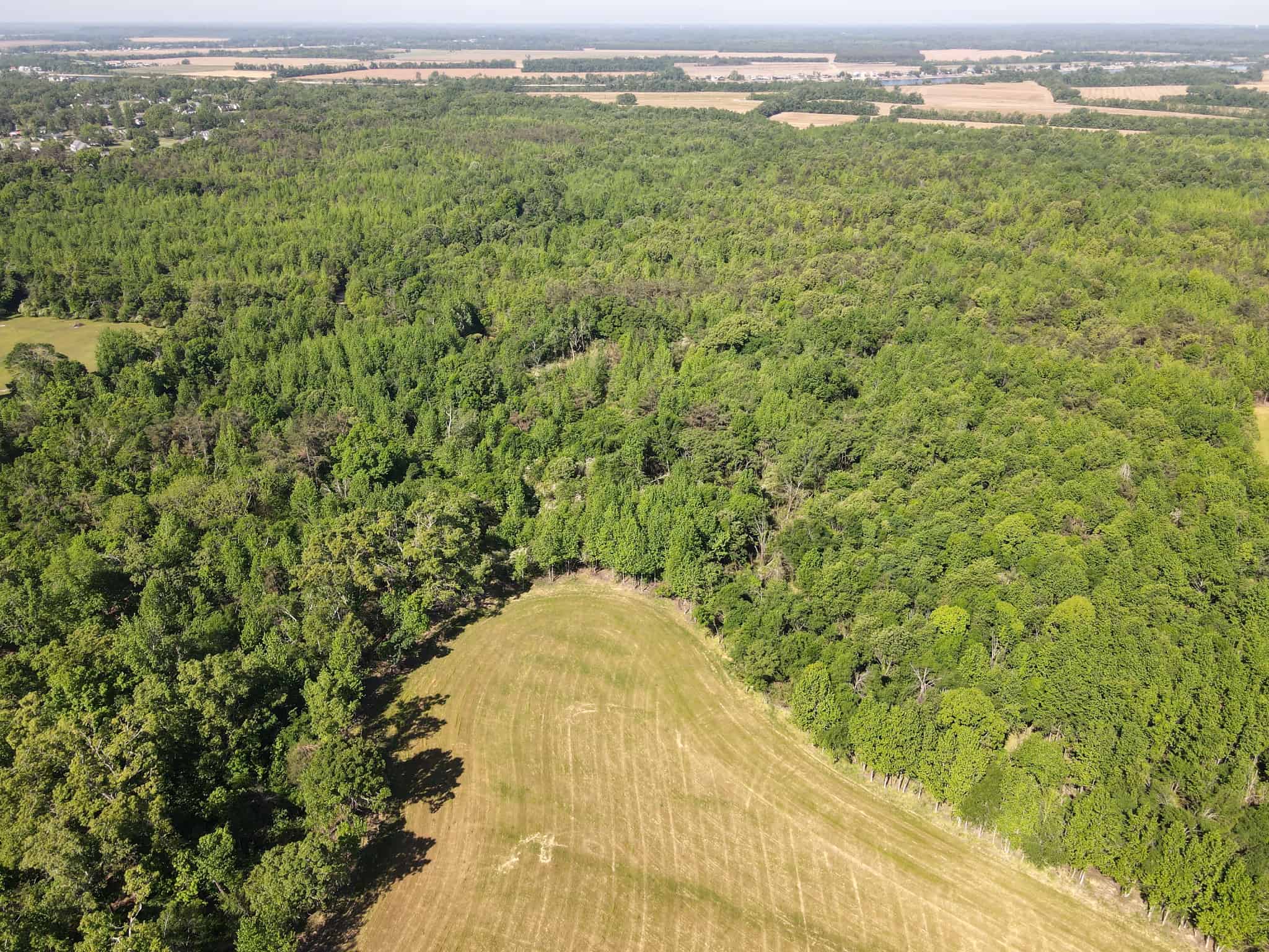 RIVERFRONT LEGACY FARM | 700 ACRES ± | LAND FOR SALE IN TN