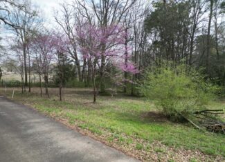 Build-Ready 10 Acres in Marietta TX | All Utilities On-Site