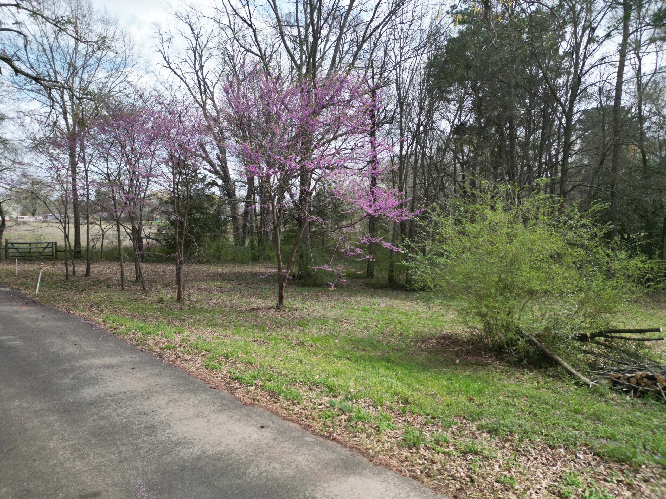 Build-Ready 10 Acres in Marietta TX | All Utilities On-Site