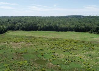 Expansive 325± Acre Land Parcel – Plymouth, ME