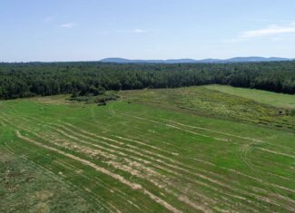 Expansive 325± Acre Land Parcel – Plymouth, ME