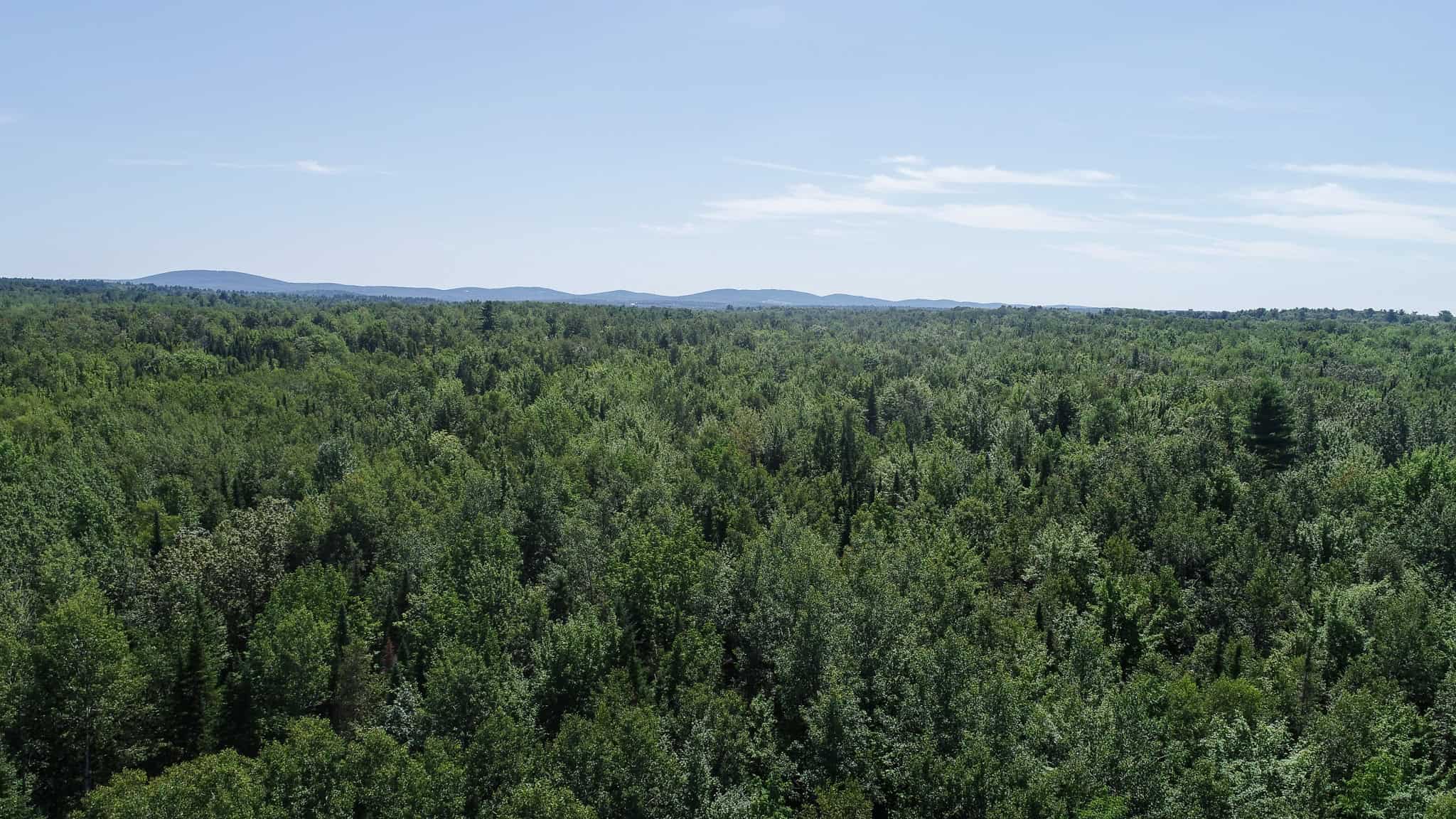 Expansive 325± Acre Land Parcel – Plymouth, ME