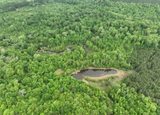 250 Acres Cass County Hunting Land | Shop & Living Quarters