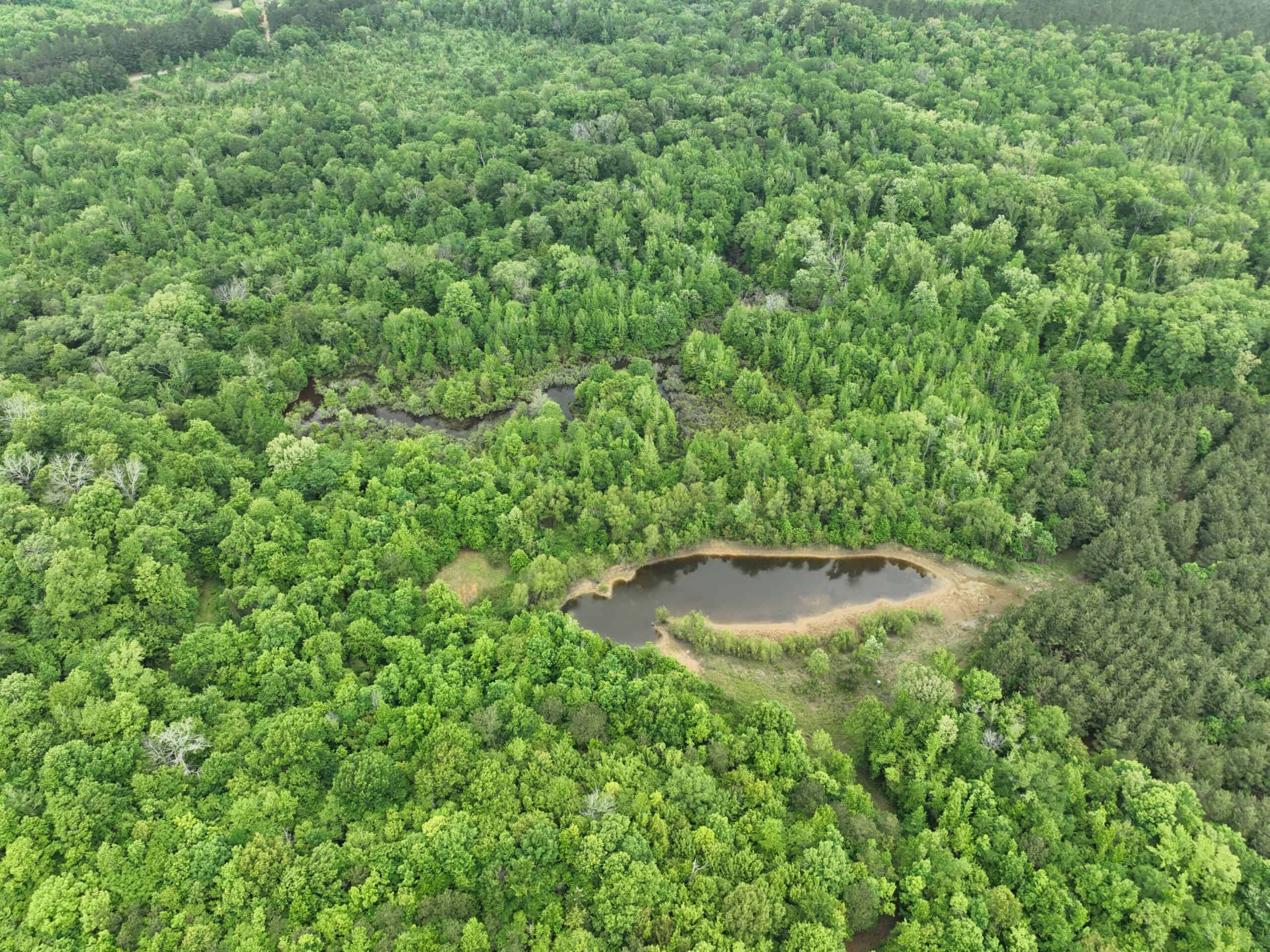 250 Acres Cass County Hunting Land | Shop & Living Quarters