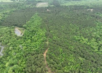 250 Acres Cass County Hunting Land | Shop & Living Quarters