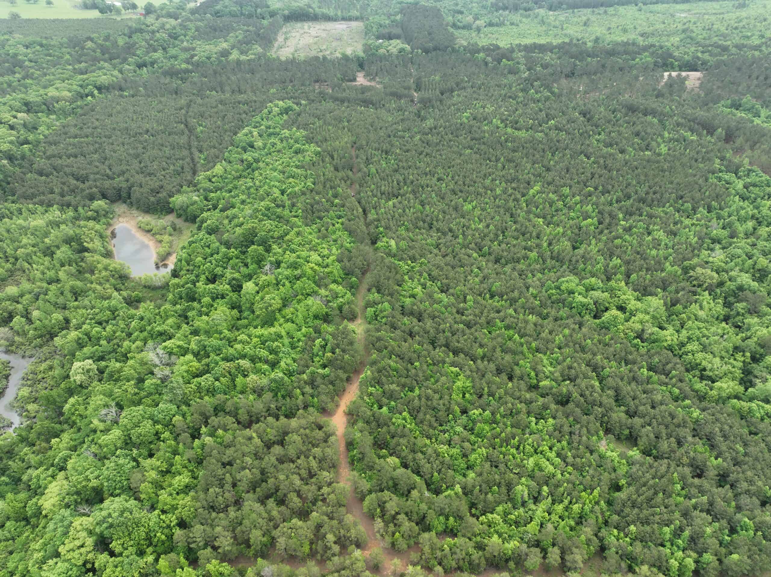 250 Acres Cass County Hunting Land | Shop & Living Quarters
