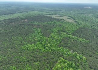 250 Acres Cass County Hunting Land | Shop & Living Quarters