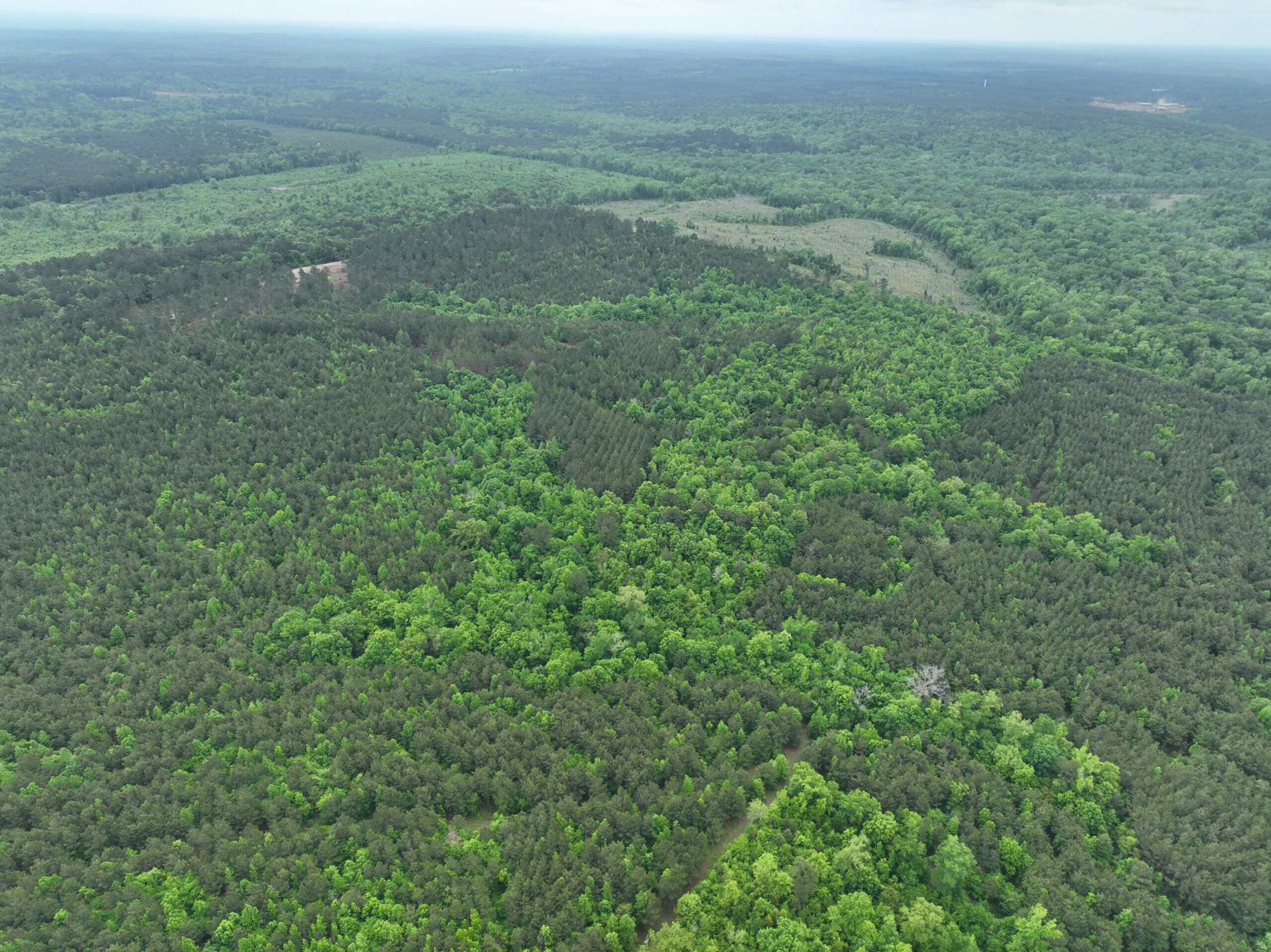250 Acres Cass County Hunting Land | Shop & Living Quarters