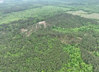 250 Acres Cass County Hunting Land | Shop & Living Quarters