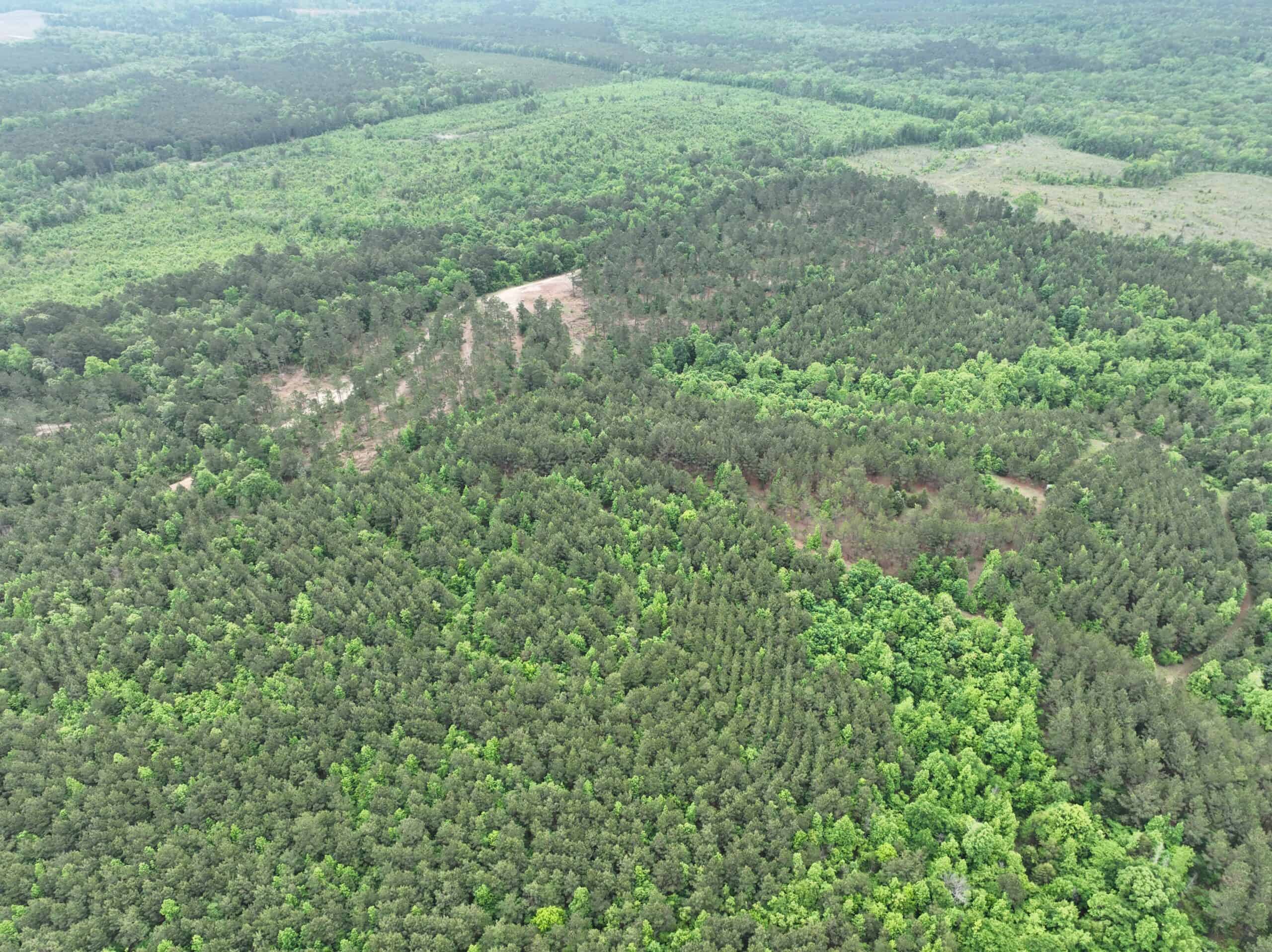 250 Acres Cass County Hunting Land | Shop & Living Quarters