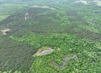 250 Acres Cass County Hunting Land | Shop & Living Quarters