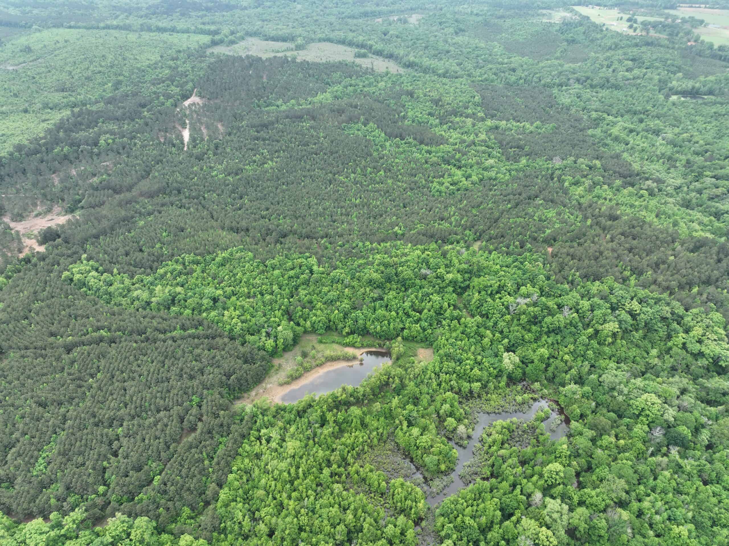 250 Acres Cass County Hunting Land | Shop & Living Quarters