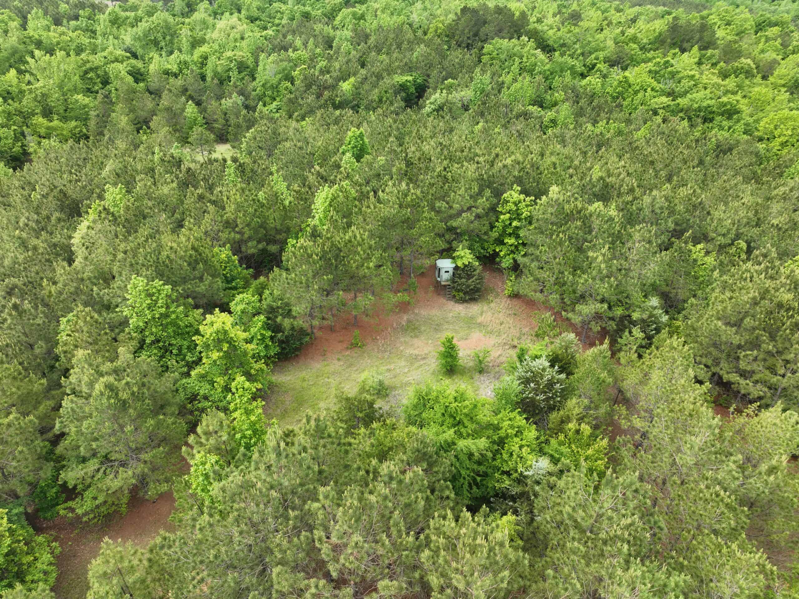 250 Acres Cass County Hunting Land | Shop & Living Quarters