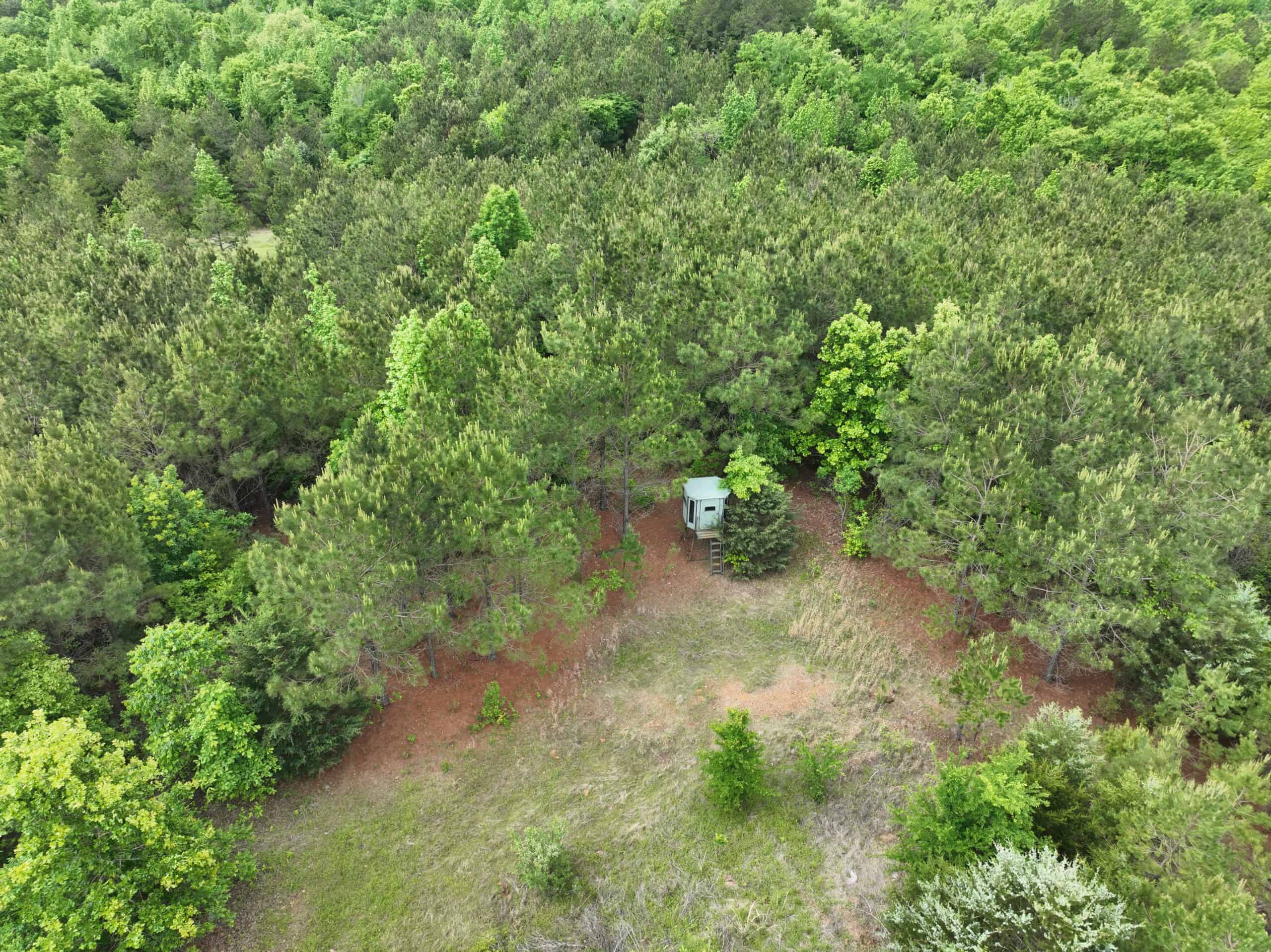 250 Acres Cass County Hunting Land | Shop & Living Quarters