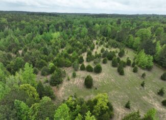 ±22 Acres with Views, Creek & Homesites Near Linden, Texas