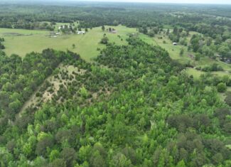 ±22 Acres with Views, Creek & Homesites Near Linden, Texas