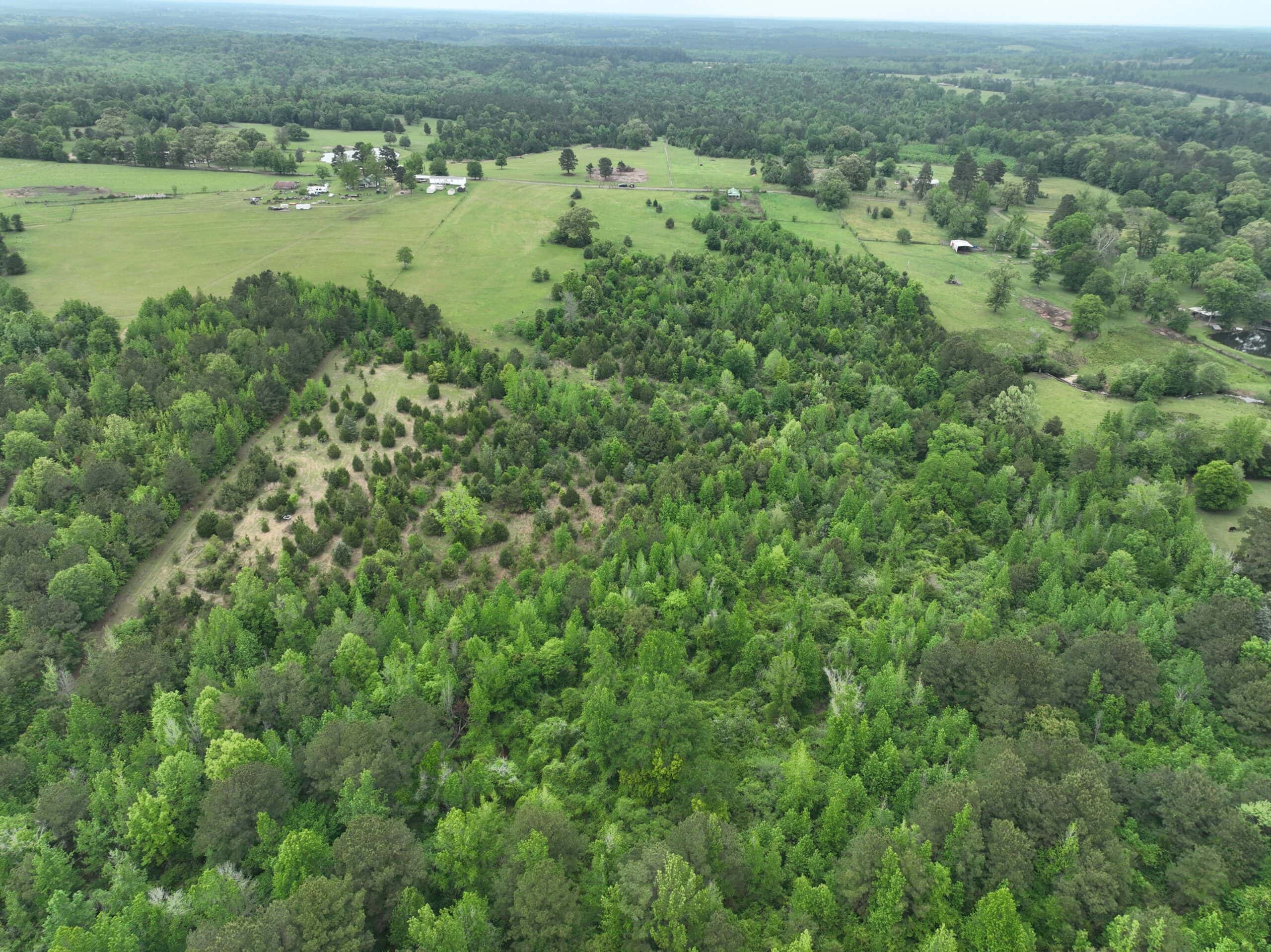 ±22 Acres with Views, Creek & Homesites Near Linden, Texas