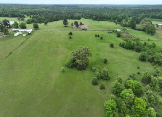 ±22 Acres with Views, Creek & Homesites Near Linden, Texas