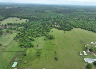 ±22 Acres with Views, Creek & Homesites Near Linden, Texas