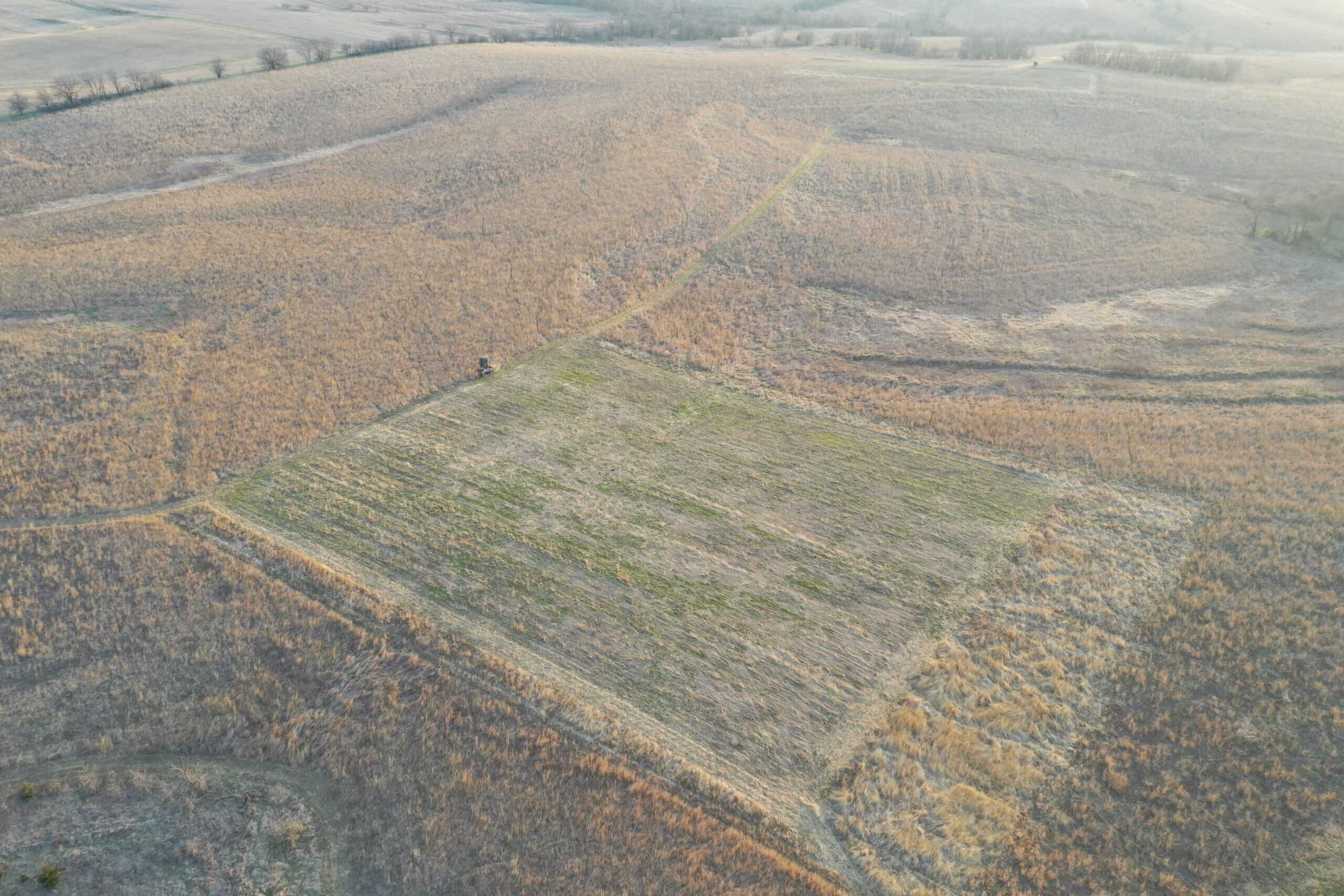 318 Acres m/l – Iowa Hunting & CRP Income Farm